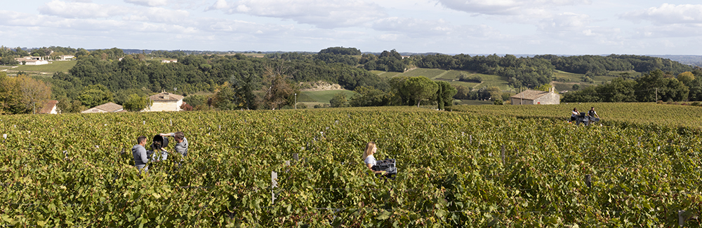 Château Trolong Mondot © Marion Gambin