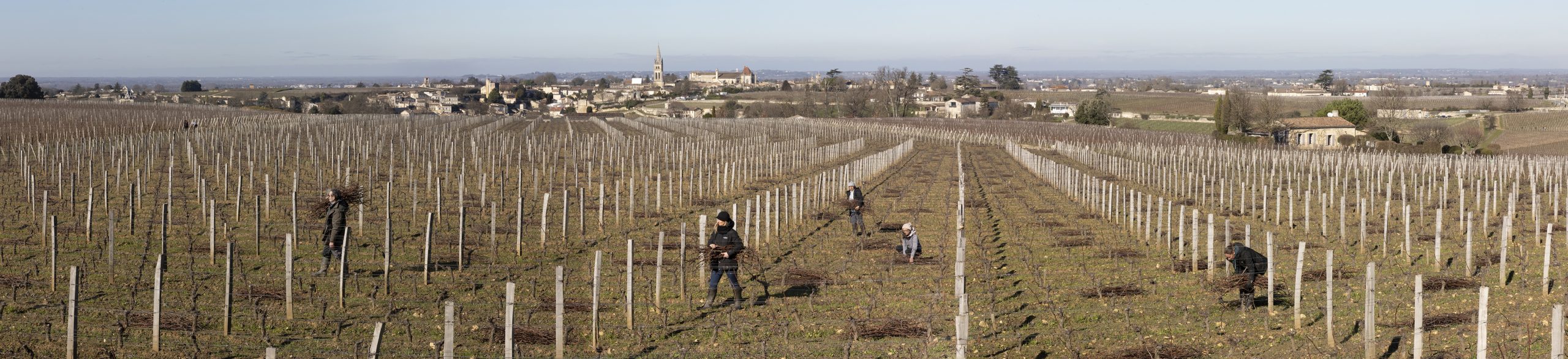 Château Trolong Mondot © Marion Gambin