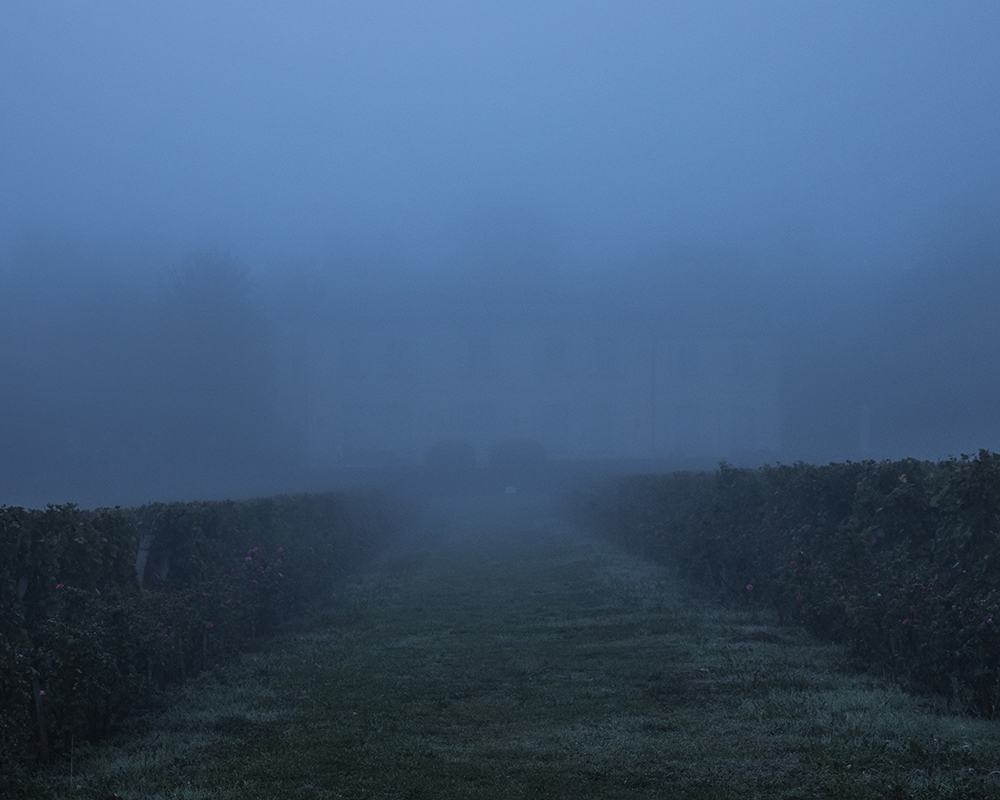 Château Trolong Mondot © Marion Gambin