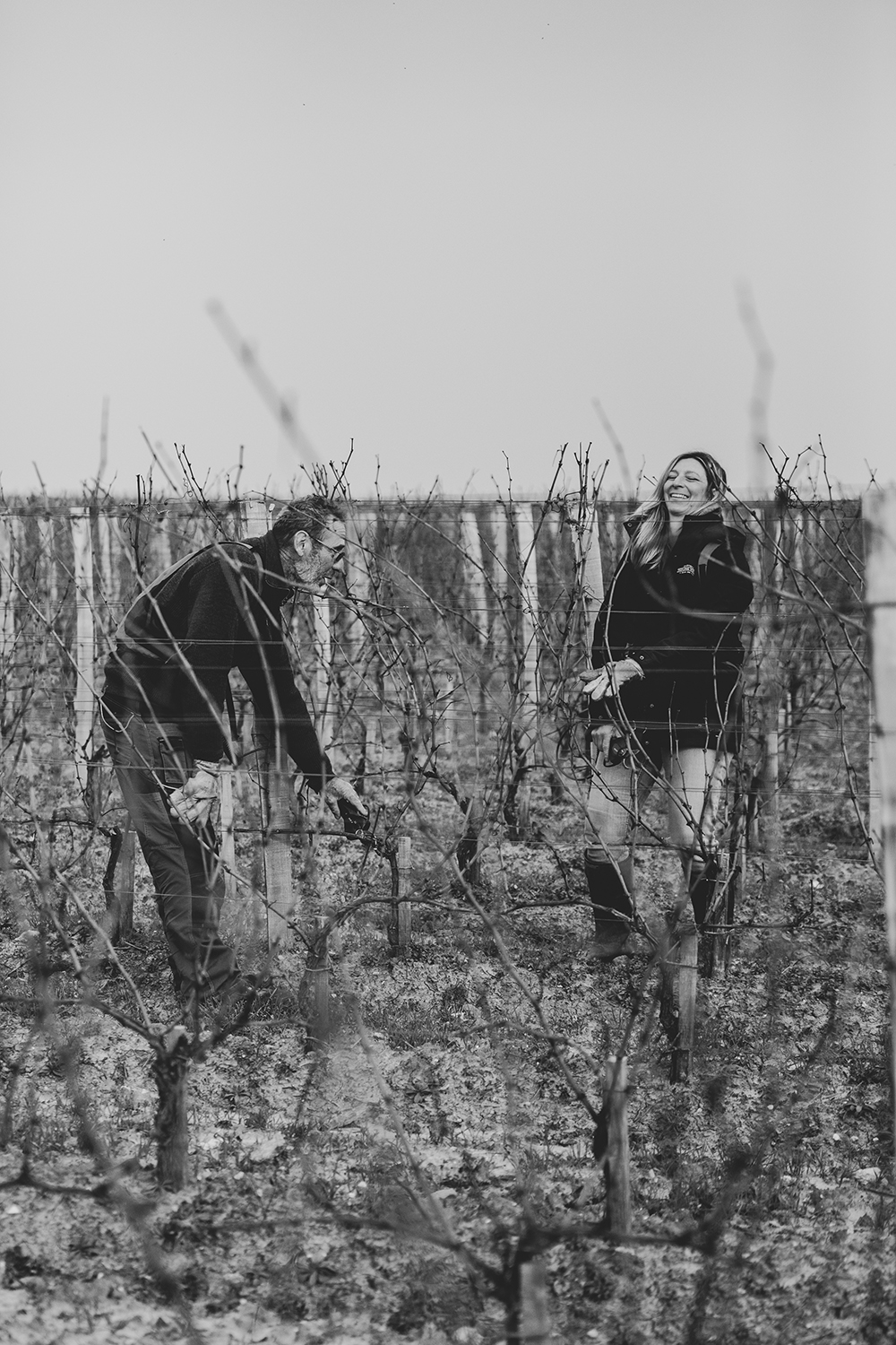 Château Trolong Mondot © Marion Gambin