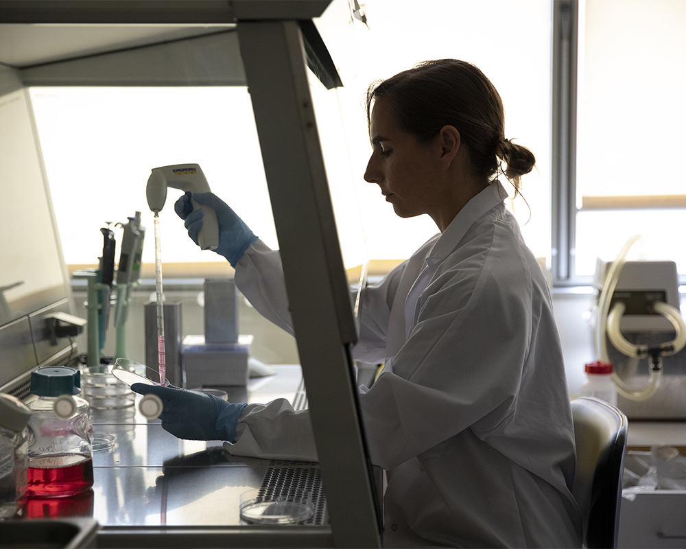 Laboratoire de la faculté de Rouen sous le direction de Dominique Campion, Fondation pour la Recherche Médicale. Photographie : Marion Gambin